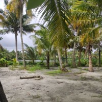 Saneesh MV