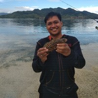 Parlindungan Harahap