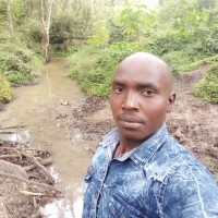 Festus Kipkirui
