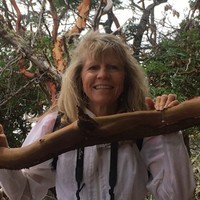 Janette Mccahan
