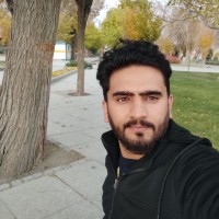میثم محمدی