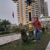 Nitin Bansal