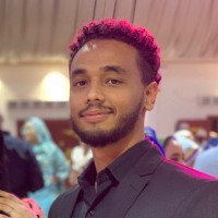 Mohamed E. Sultan