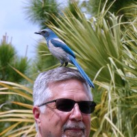 Mark Gresko