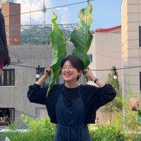 강보배