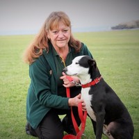 Jane Whitehead