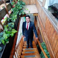 Julian Pardo