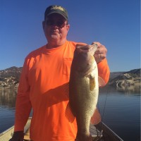 Jeff Fowler