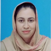 Gul Noor