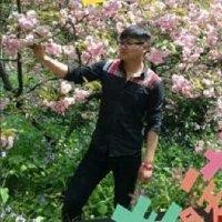 程明明