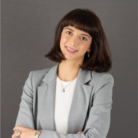 Bianca I. Apetrei