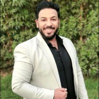 Amer Mohsen