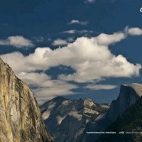 Serjeant Security null