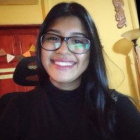 Allison Pavón Potosme