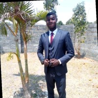 Leo Mwamba