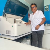 Ing. Percy Almeyda Rivas