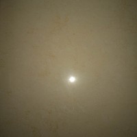 胡小雄