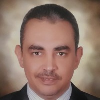 Mohamed Elaref