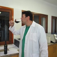 Pedro J. Ruiz Simarro