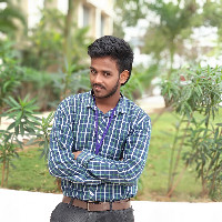 Nived P menon