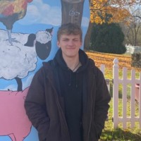 Austin Alman