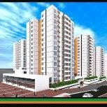 HELMER MAURICIO PEÑA PEDRAZA