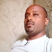 Tadese Ofgea