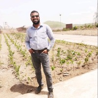 Chinmay Bal