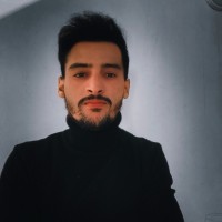 Walid Mahmoudi