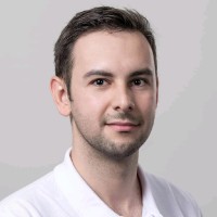 David Mestek