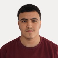 Walid Gannari