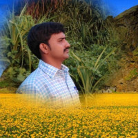 Sreenu P
