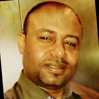 Haitham E. Elsayed Billal