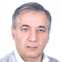 Majid Hamidi