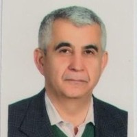 Asad Seifi