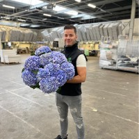 Bas Den Besten