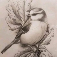 سحر الرازي سحر الرازي
