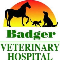 Badger Veterinary Hospital of Janesville and Cambridge