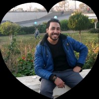 محمد المصرى