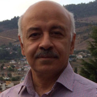 mohsen Tabashi