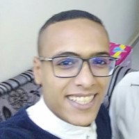 hussein abo