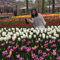 Dung Dinh Thi Thu