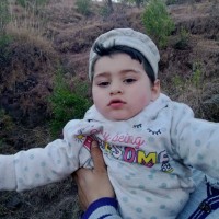 Saj Awan