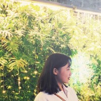 秦小涵