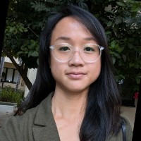 Vi Truong