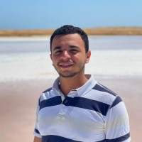 Gerges Fikry
