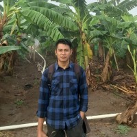 Rino Pangestu