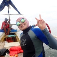 Novi niky