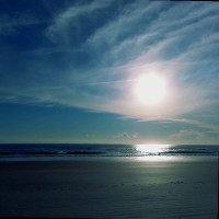 Electric Connection Free LTD