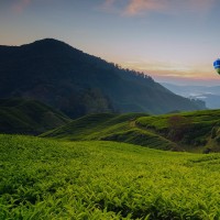 Najat Anjri
